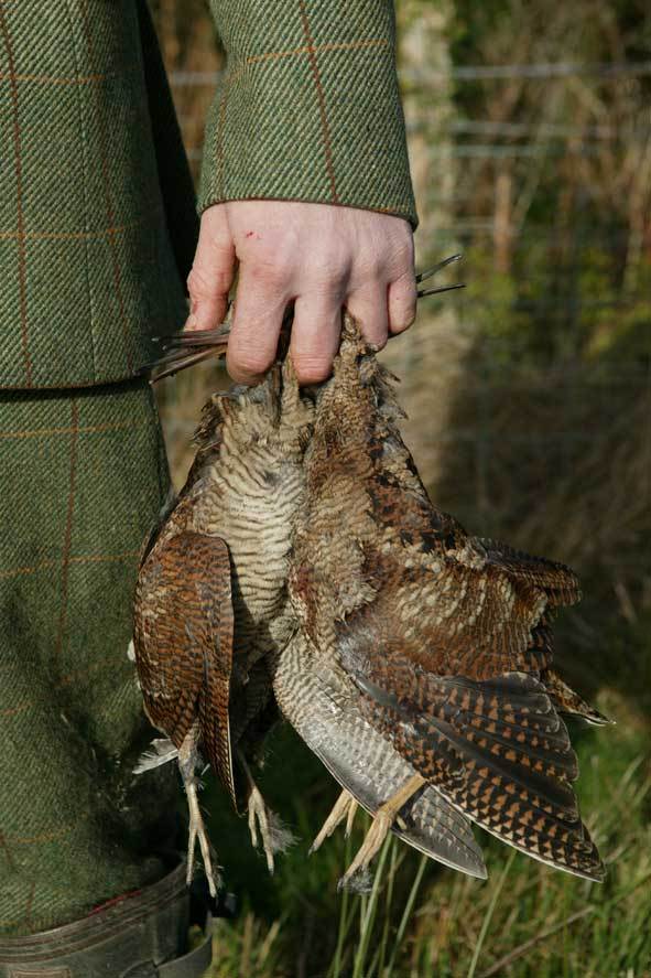 Become a woodcock contact