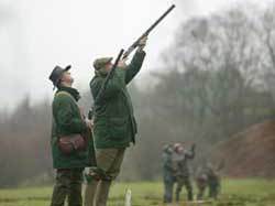Scheme Assures Shoots