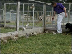 Gamekeeper redundancies reach new high