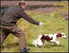 Why won't my dog to return to the whistle everytime?