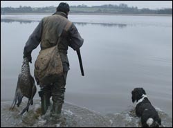 Where should I place decoys when wildfowling?