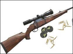 Krico Model 902 rifle review