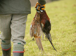 Game meat sales soar
