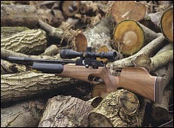 Is there any way of testing the bottle in my air rifle?
