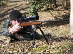 Mauser CZ527 Varmint .204 rifle review
