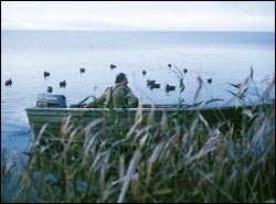 Humber fowling clubs lodge appeal over NE consents