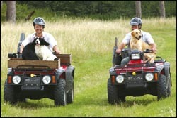 What constitutes dogging-in these days?