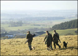 Confidence in 2008 partridge shooting