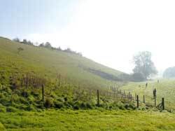 Call for more land registration