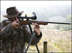 Ruger M77 Mk2 rifle review