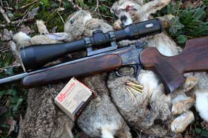 .22 Hornet calibre review