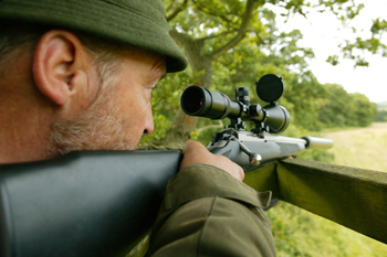 FMD takes its toll on stalking industry