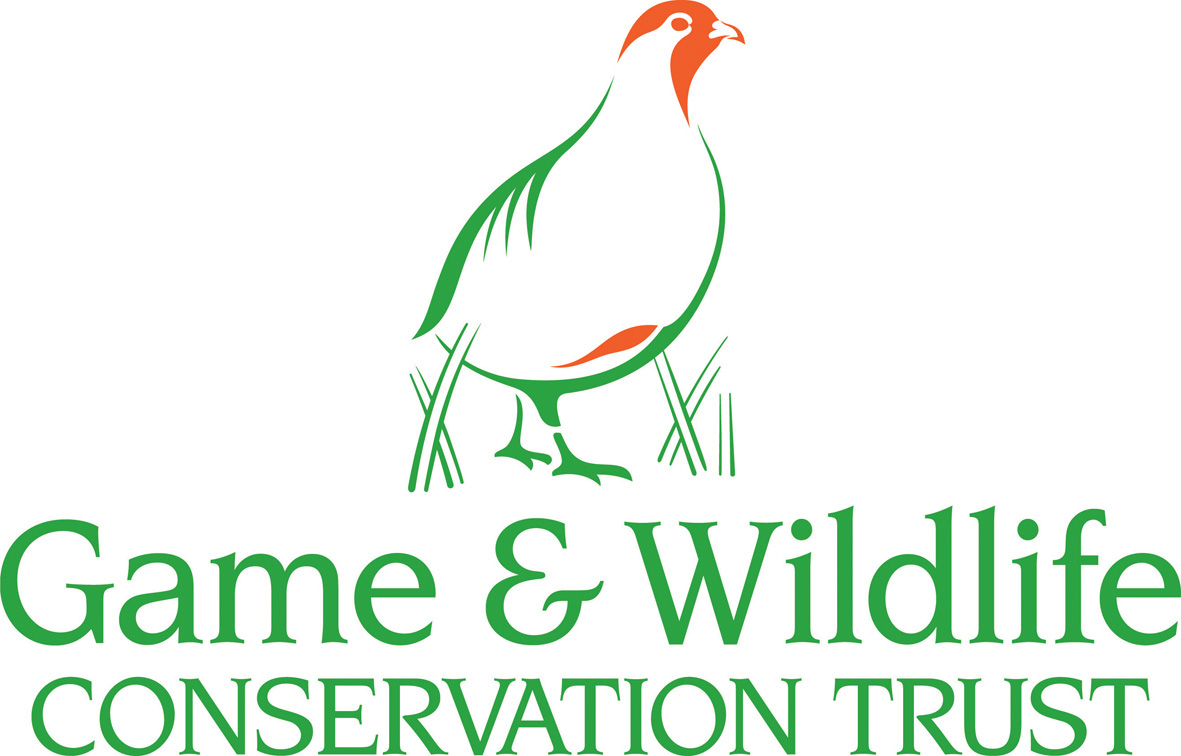 GWCT study reveals top 10 insect foods