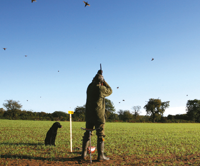 Shoot ownership rules