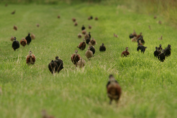 Concern over DEFRA information security