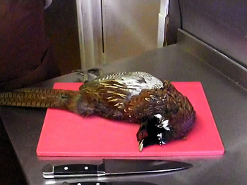 How to skin a pheasant - video