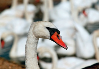 DEFRA criticised over its financial handling