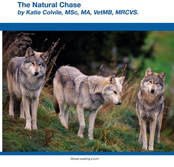 New Middle Way hunting report
