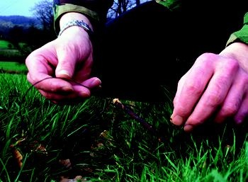 Scotland: New game laws
