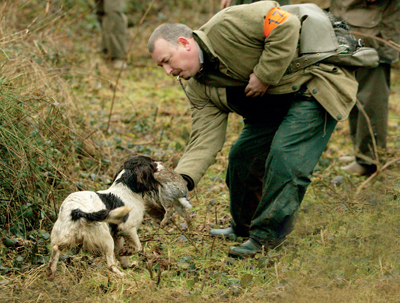 How do I train my dog with a whistle?