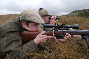 Fears over merger of SNH and Deer Commission