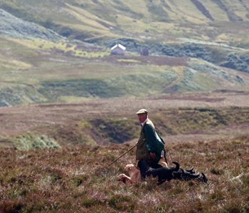 Scottish minister's pesticide warning to landowners