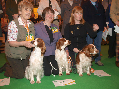 Working gundog abilities celebrated at Crufts