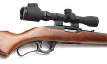 Ruger 96/22M lever action rifle review