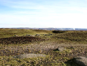 Moorland is nominated for Lottery Award