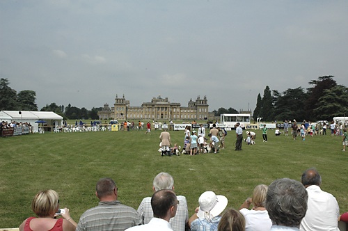PHOTO GALLERY: CLA Game Fair