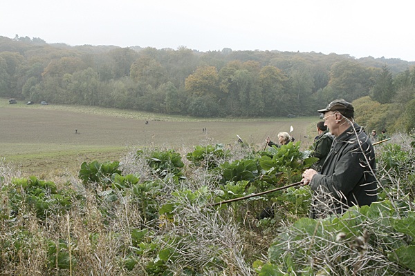 Do agri-environment schemes work?