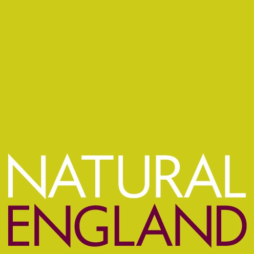 Environment scheme survey