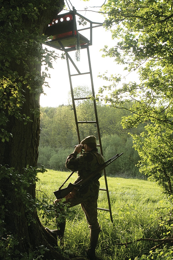 BASC promotes shooting benefits to Northern Ireland