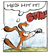 That's a high bird