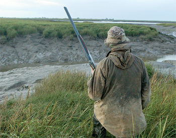 Severn estuary barrage plan dropped