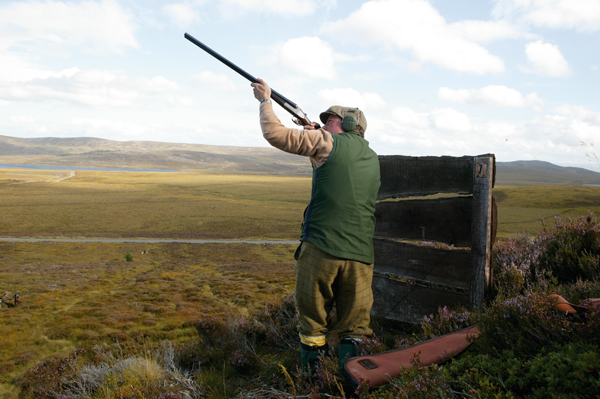 "Grouse vital to Scotland"