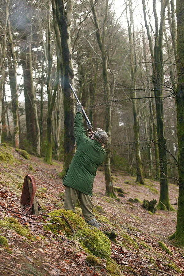 Shooters call for more rights in public forests