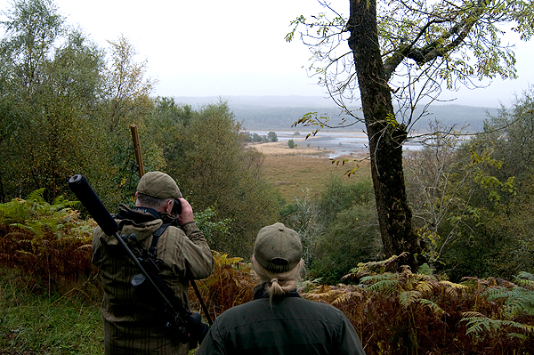 Stalking costs surveyed