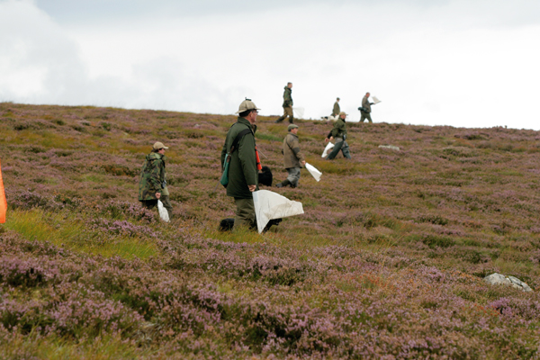 Impact of grouse on Scottish industry survey