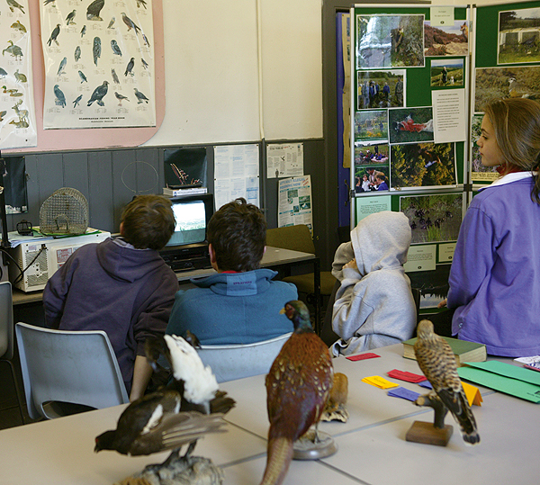 Wildlife crime DVD pulled from schools 
