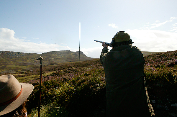 Grouse moors report mixed fortunes