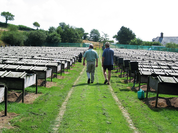 DEFRA withdraws the Gamebird Code
