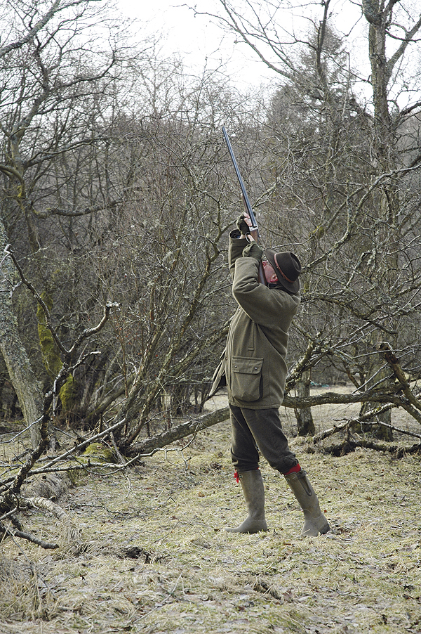 Home Affairs report calls for restrictions on shooters