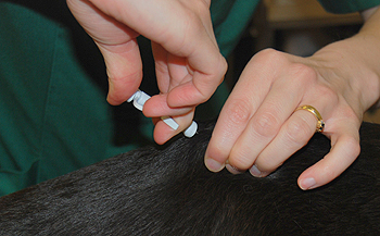 Microchipping for all?