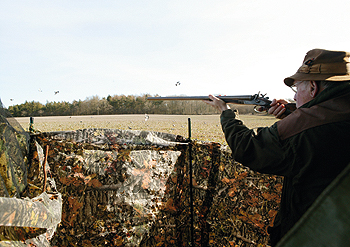 New Pigeon shooting register