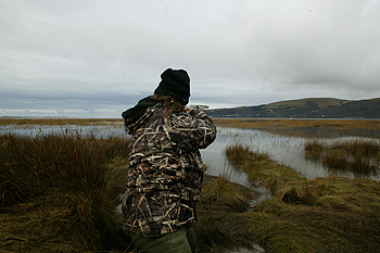 Just days to save shooting on the Dyfi estuary