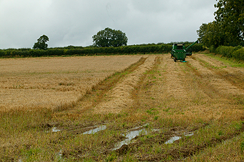 Wet weather worries for partridge shoots
