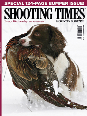 Bumper issue for Christmas