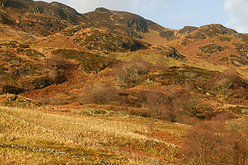 National Trust keeper quits
