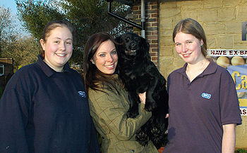 Stolen Archie is recovered